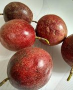 百香果泡水的正确方法有哪些