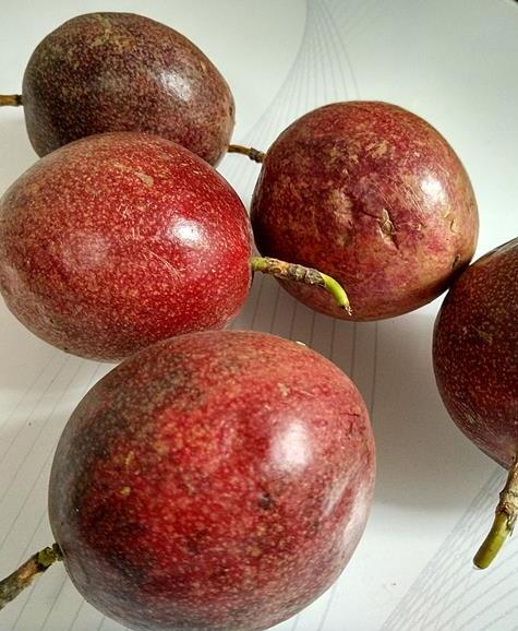 百香果泡水的正确方法