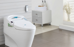 家庭生活小窍门 马桶堵塞学会这招轻松搞定